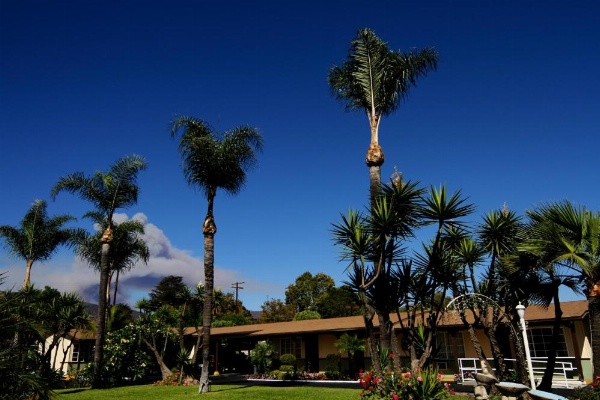Palm Tropics Motel image 14