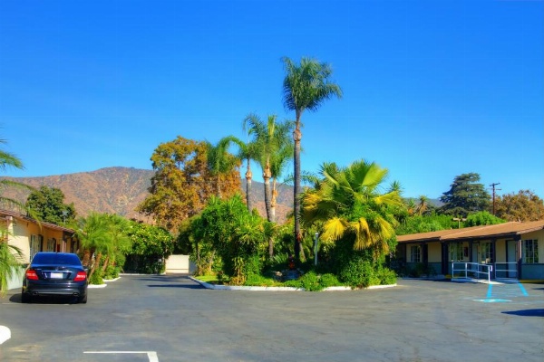 Palm Tropics Motel image 9